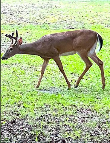 6928 GILDA Court, Keystone Heights, FL 32656