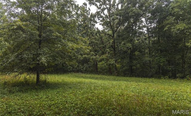 8578 Lizard Lane, Grubville, MO 63023