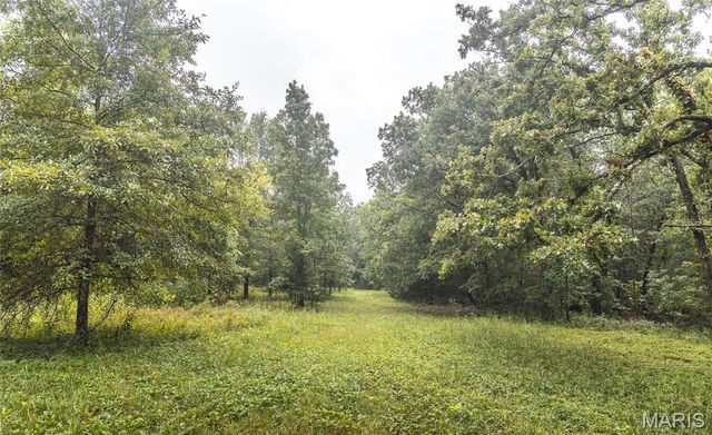 8578 Lizard Lane, Grubville, MO 63023