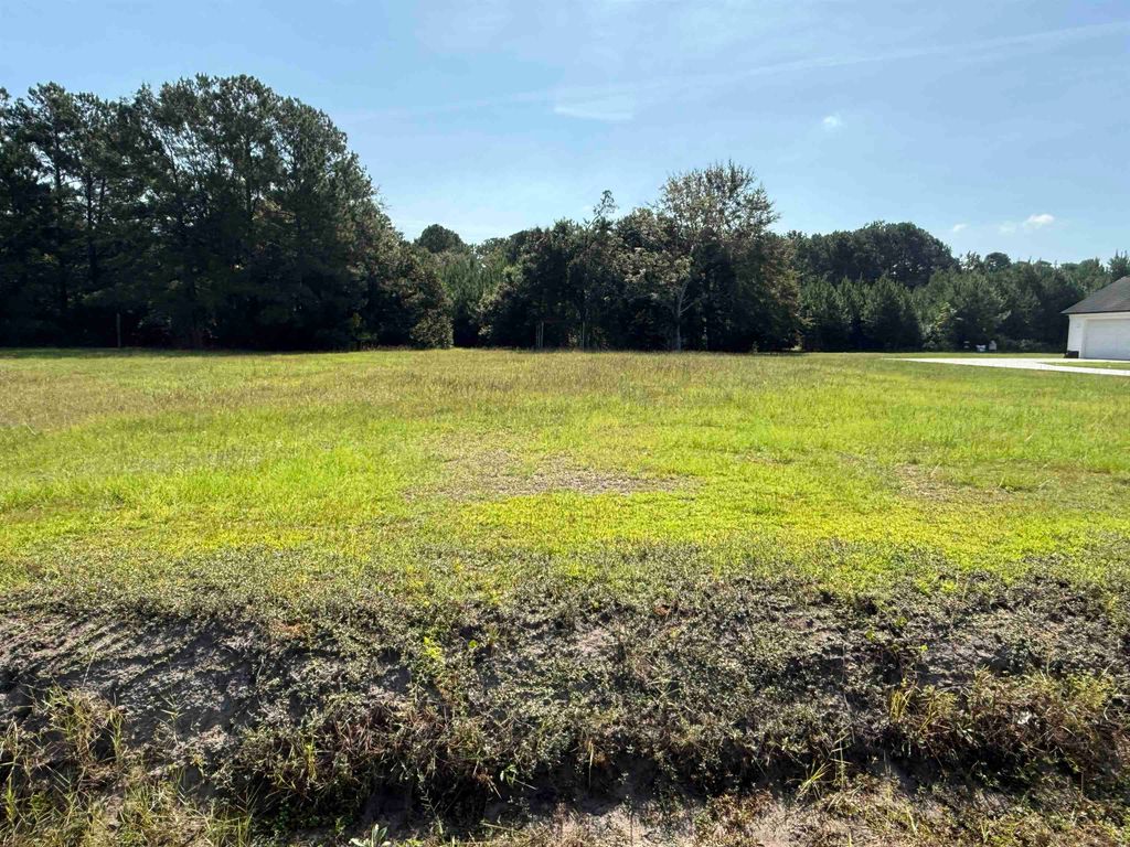 TBD Hugo Rd., Conway, SC 29527 — photo 2