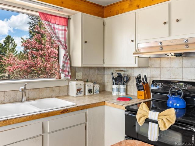 1251 Giant Track Road, Estes Park, CO 80517