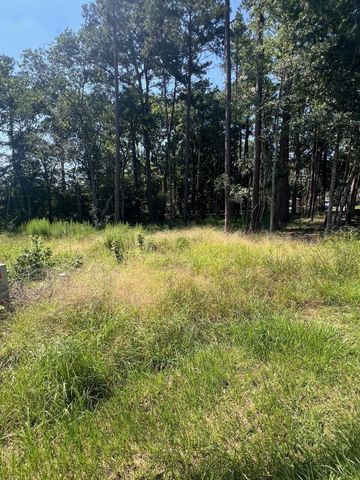 1981 La Salle Park Drive, Conroe, TX 77304