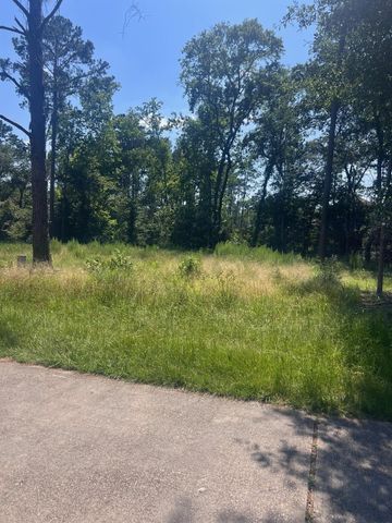 1981 La Salle Park Drive, Conroe, TX 77304