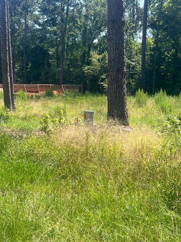 1981 La Salle Park Drive, Conroe, TX 77304