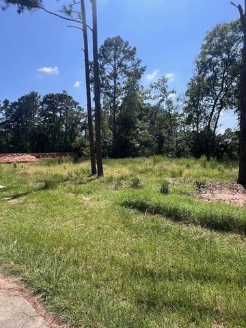 1981 La Salle Park Drive, Conroe, TX 77304
