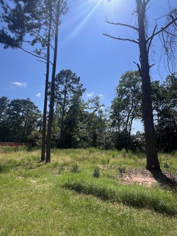 1981 La Salle Park Drive, Conroe, TX 77304