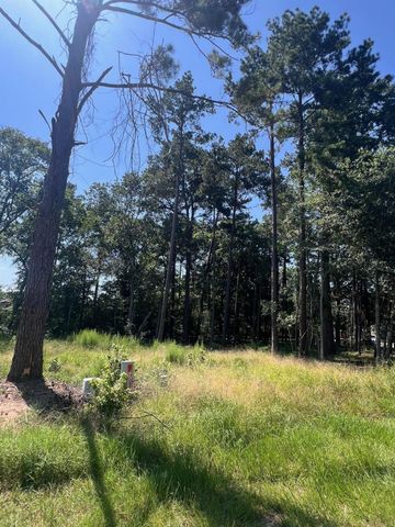 1981 La Salle Park Drive, Conroe, TX 77304