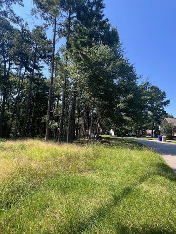 1981 La Salle Park Drive, Conroe, TX 77304