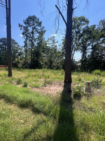1981 La Salle Park Drive, Conroe, TX 77304