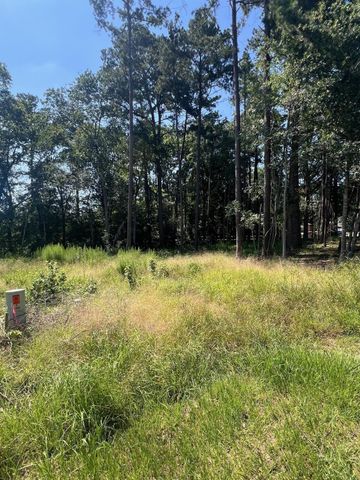 1981 La Salle Park Drive, Conroe, TX 77304