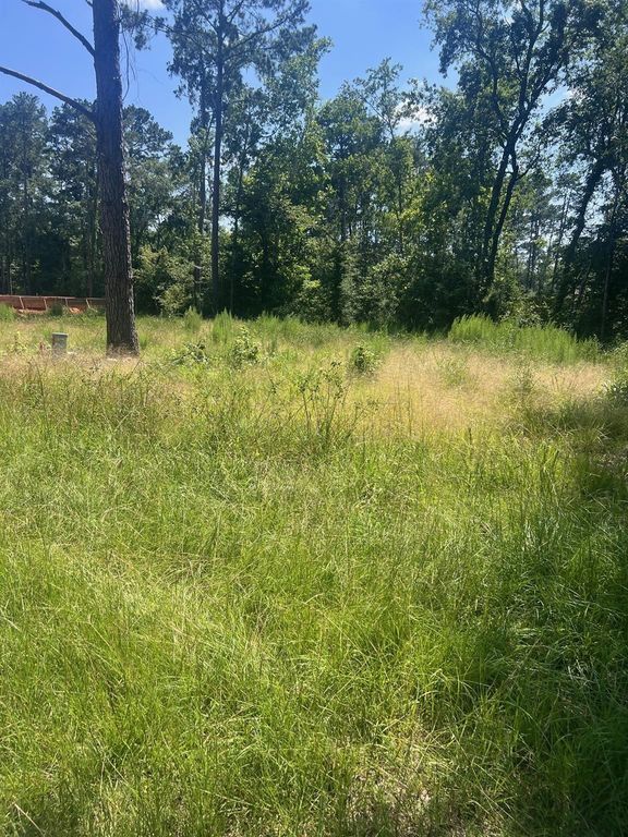 1981 La Salle Park Drive, Conroe, TX 77304