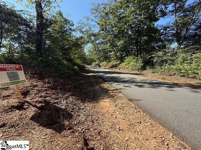 17 Lone Cypress Street, Travelers Rest, SC 29690