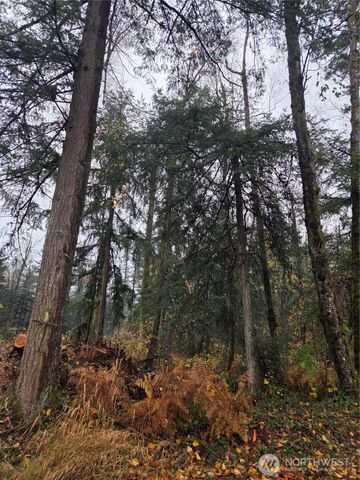 0 XXX H Street, Blaine, WA 98230