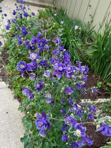 3542 Valley Ridge Road, Middleton, WI 53562