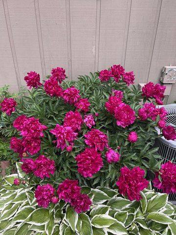 3542 Valley Ridge Road, Middleton, WI 53562