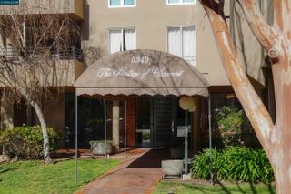 5340 Broadway Terrace 203, Oakland, CA 94618