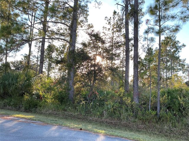 32 SEA FRONT TRAIL, Palm Coast, FL 32164