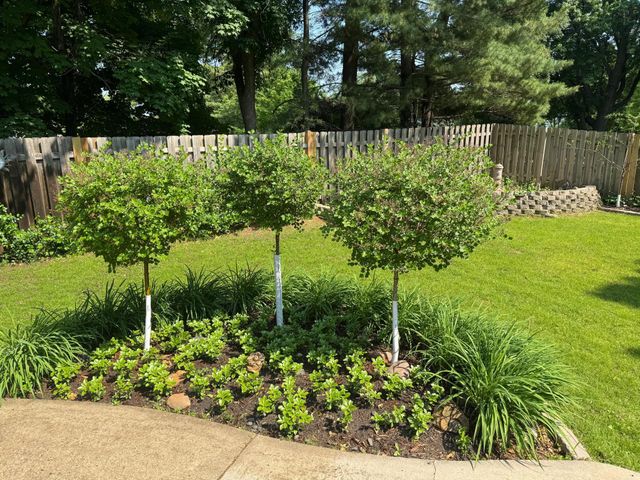 15011 Oakland Avenue, Burnsville, MN 55306