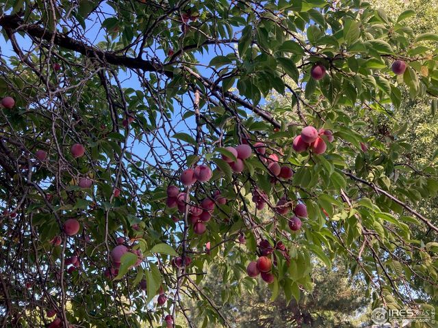 4559 Beachcomber Ct, Boulder, CO 80301