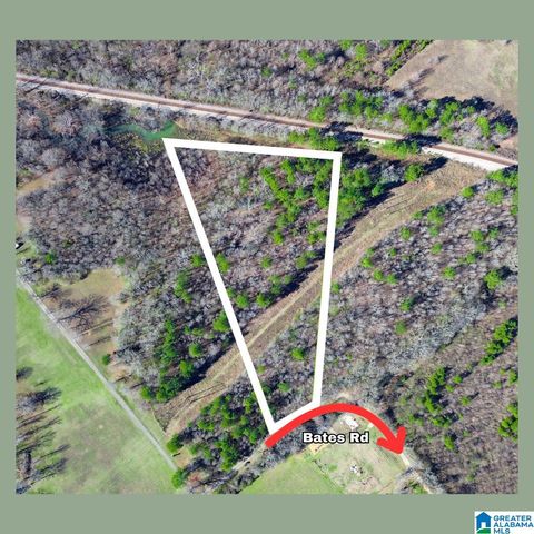 0 BATES ROAD, Vincent, AL 35178