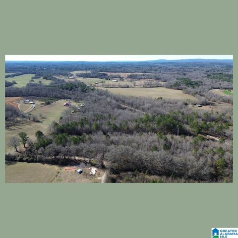 0 BATES ROAD, Vincent, AL 35178