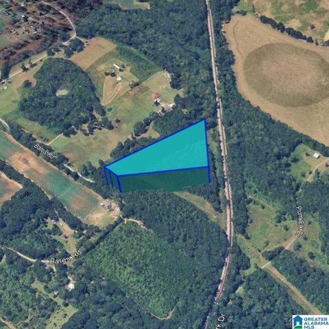 0 BATES ROAD, Vincent, AL 35178