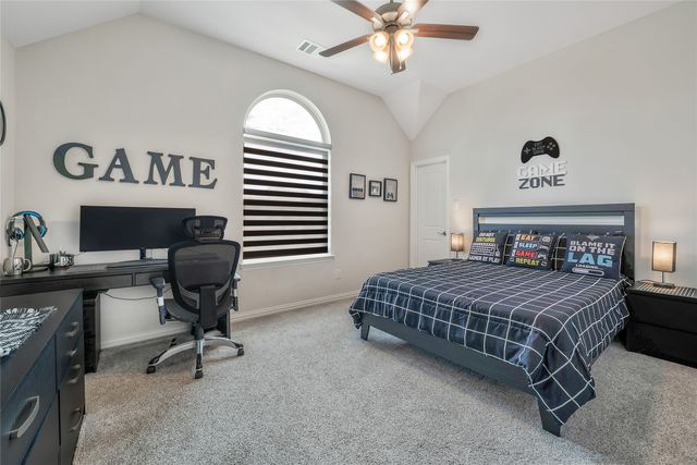 11908 Vista Meadow Lane, Frisco, TX 75035