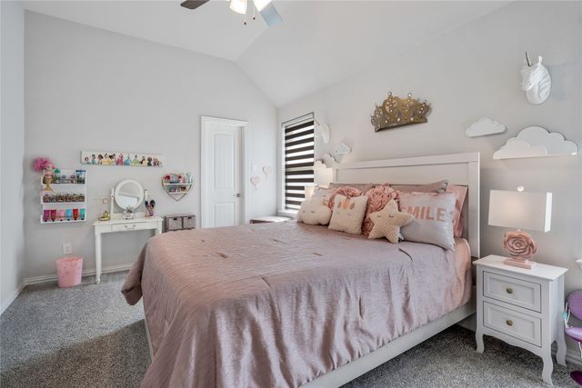 11908 Vista Meadow Lane, Frisco, TX 75035