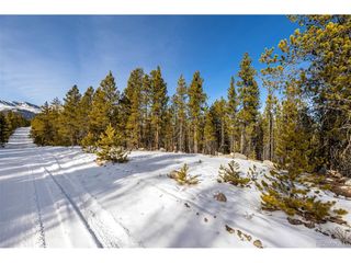 539 Sequoia Dr, Leadville, CO 80461