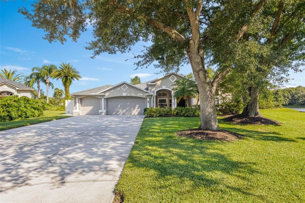 25053 WINSLOW WAY, Land O Lakes, FL 34639