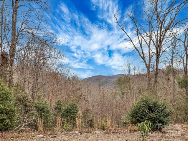 191 Pacolet Woods Lane, Saluda, NC 28773