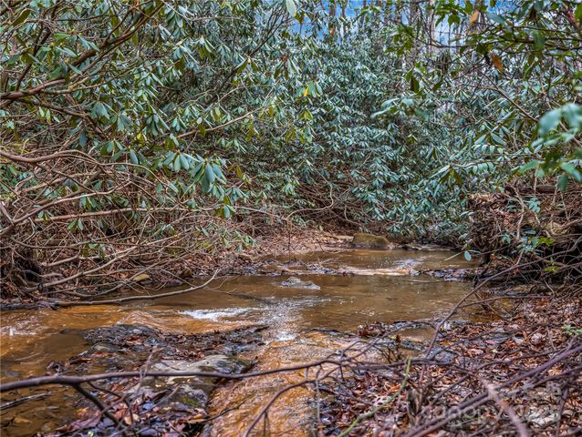 191 Pacolet Woods Lane, Saluda, NC 28773