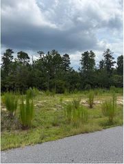 646 Pittfield Run, Cameron, NC 28326