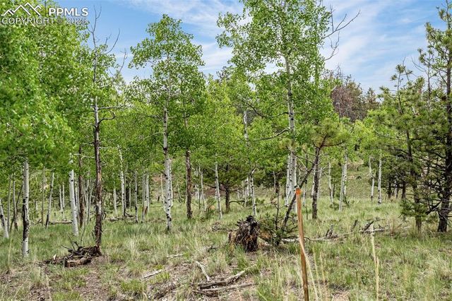 77 Monarch Drive, Florissant, CO 80816