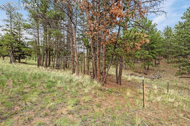 77 Monarch Drive, Florissant, CO 80816