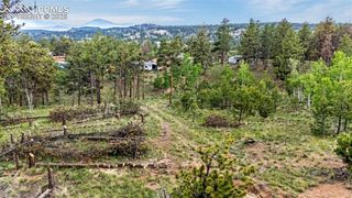 77 Monarch Drive, Florissant, CO 80816