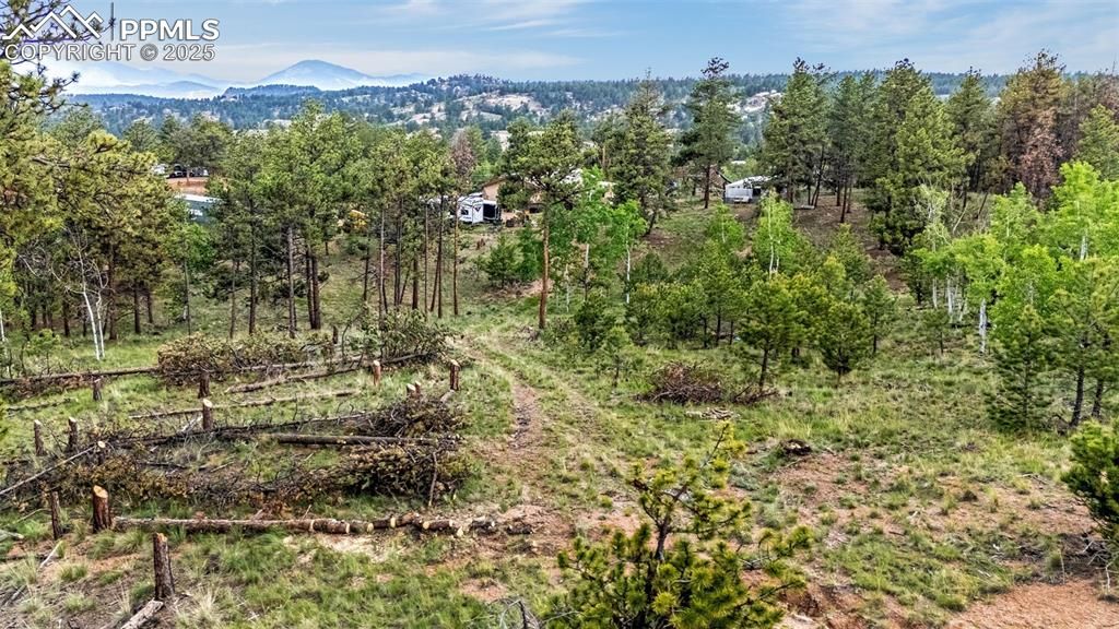 77 Monarch Drive, Florissant, CO 80816