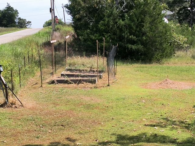 2916 County Road 662, Theodosia, MO 65761