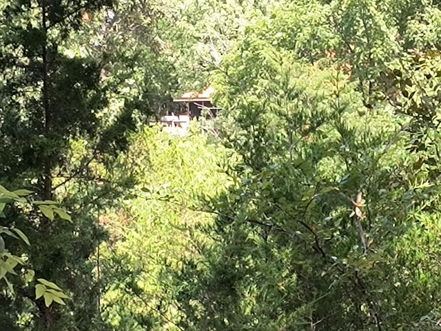 2916 County Road 662, Theodosia, MO 65761