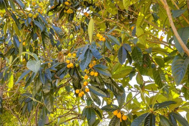 650 Sierra Meadows, Sierra Madre, CA 91024