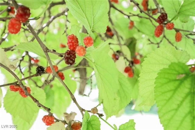 7330 North RAINBOW Boulevard, Las Vegas, NV 89131