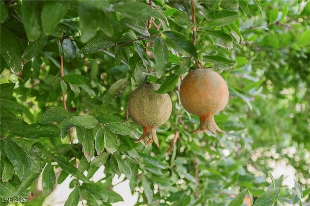 7330 North RAINBOW Boulevard, Las Vegas, NV 89131