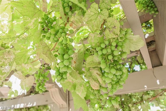 7330 North RAINBOW Boulevard, Las Vegas, NV 89131