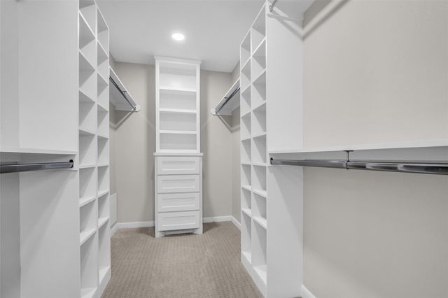 10006 Candlewood Drive, Houston, TX 77042