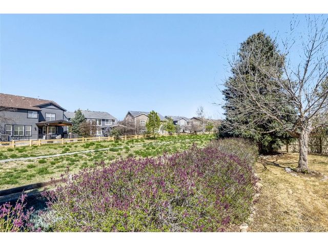 10369 Cheetah Tail, Lone Tree, CO 80124