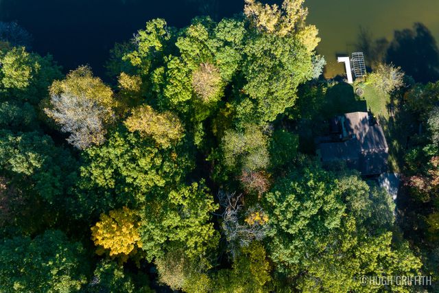 6811 Burger Drive Se, Cascade Twp, MI 49546