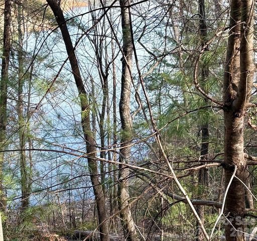0 Falls View Trail lot 23A, Lake Lure, NC 28746