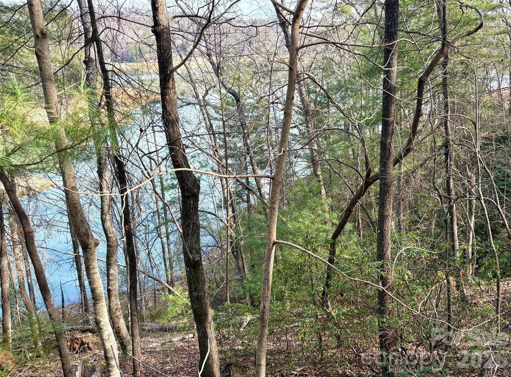 0 Falls View Trail lot 23A, Lake Lure, NC 28746
