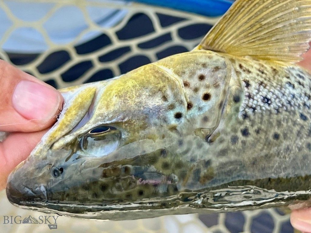 12500/12120 Axtell Gateway Road, Gallatin Gateway, MT 59730 photo 4