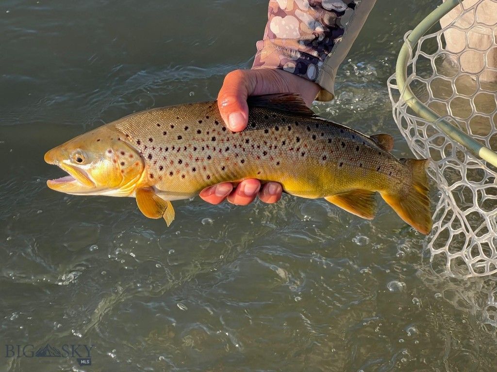 12500/12120 Axtell Gateway Road, Gallatin Gateway, MT 59730 photo 53